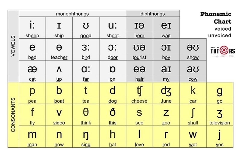 Bảng phiên âm Tiếng Anh IPA