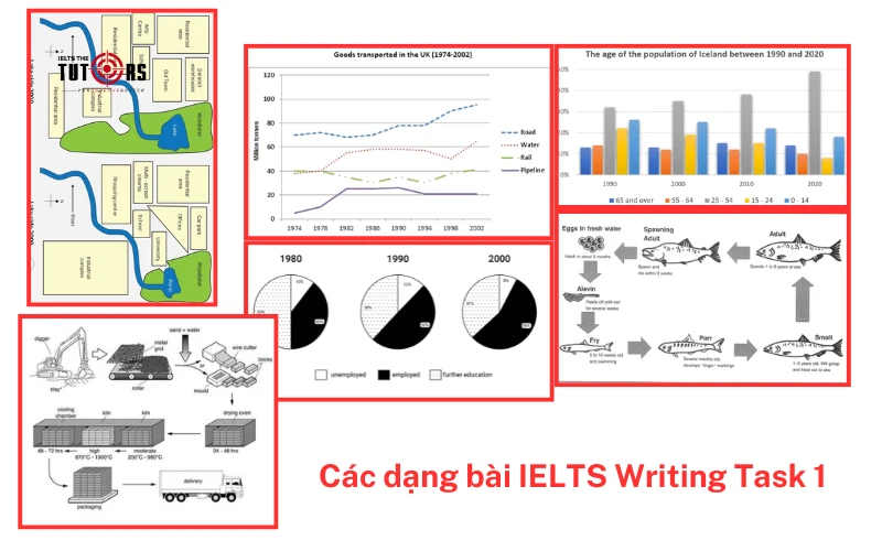 Các dạng bài IELTS Writing Task 1 itts 1