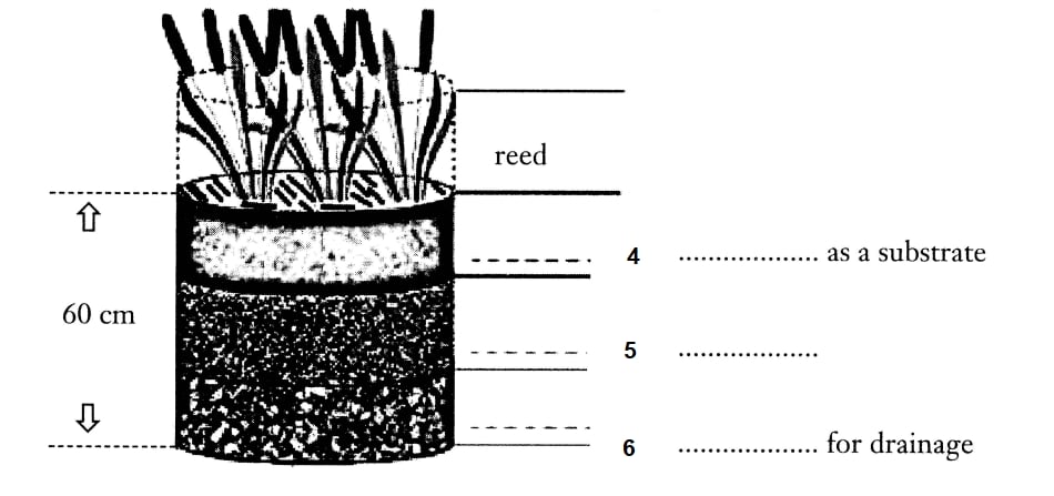 Diagram Labelling IELTS Reading Pratice 3