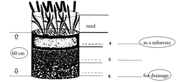 Diagram Labelling IELTS Reading Pratice 4