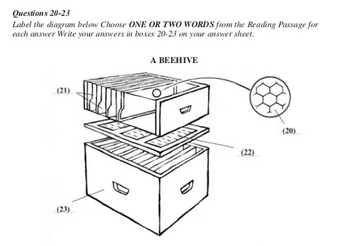 Format IELTS Listening Labelling A Diagram 1