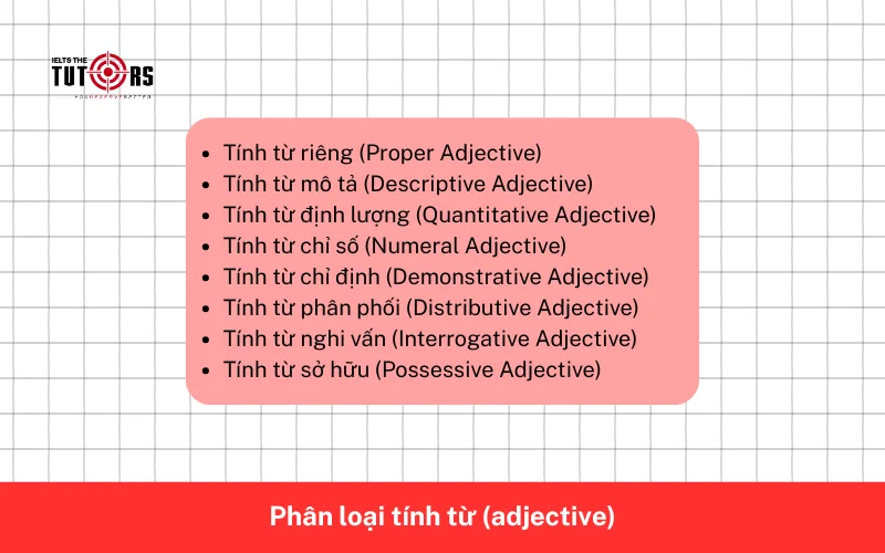 Phân loại tính từ (adjective) theo chức năng 4