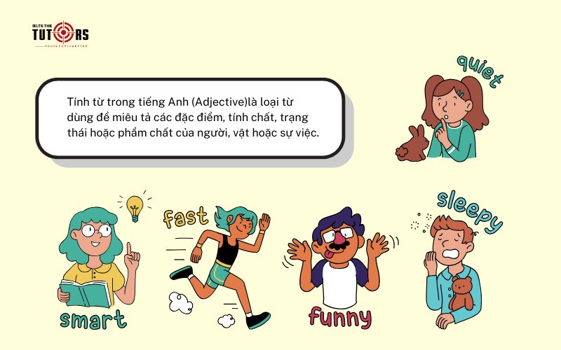 Tính từ trong tiếng Anh (adjective) là gì 1