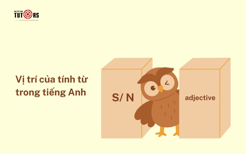 vị trí của tính từ trong tiếng anh 2