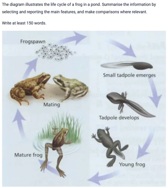 Bài mẫu Natural Process - Quy trình tự nhiên 5