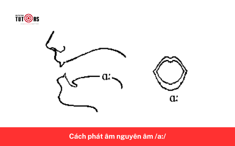 Cách phát âm nguyên âm _a