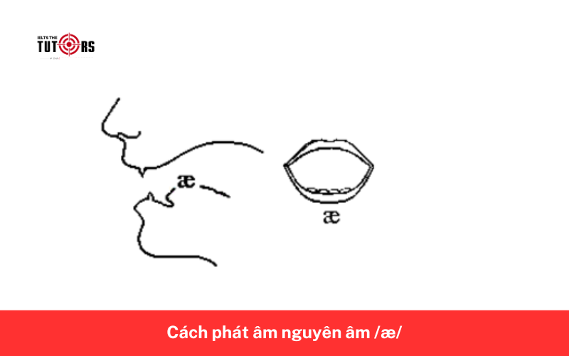Cách phát âm nguyên âm _æ