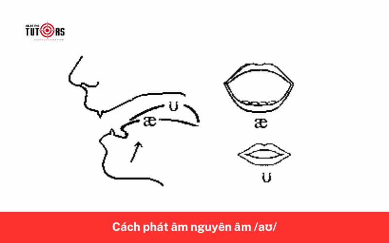 Cách phát âm nguyên âm _aʊ_ 9