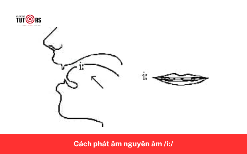 Cách phát âm nguyên âm _i
