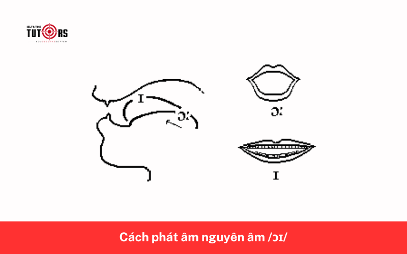 Cách phát âm nguyên âm _ɔɪ_ 6