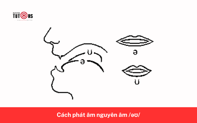Cách phát âm nguyên âm _əʊ_ 8
