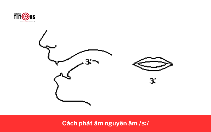 Cách phát âm nguyên âm _ɜ