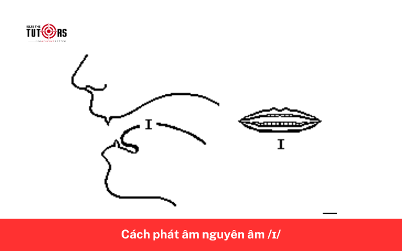 Cách phát âm nguyên âm _ɪ