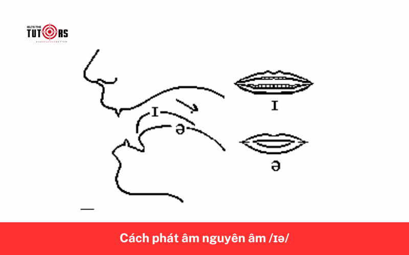 Cách phát âm nguyên âm _ɪə_ 4