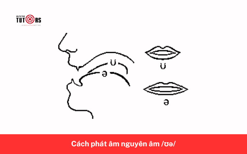 Cách phát âm nguyên âm _ʊə_ 3
