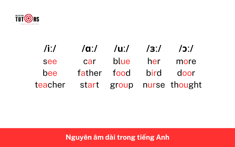 Nguyên âm dài trong tiếng Anh 1