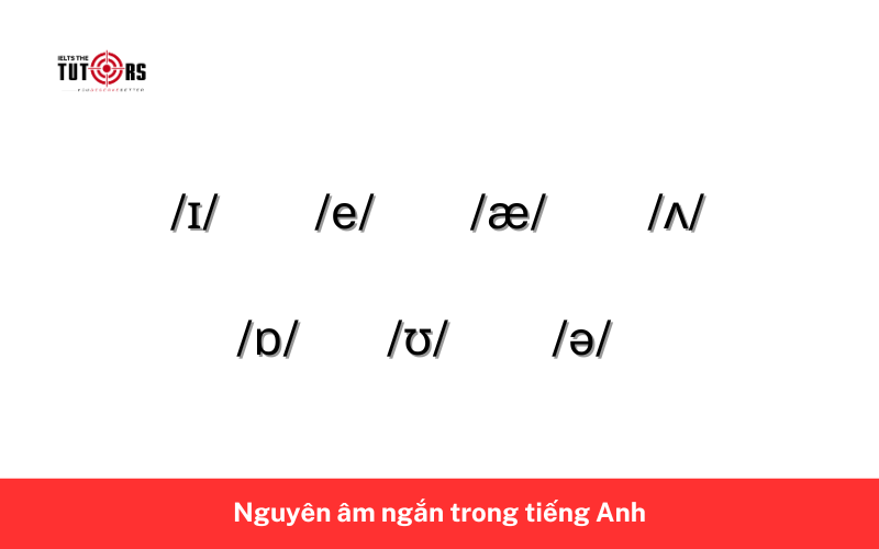Nguyên âm ngắn trong tiếng Anh 2