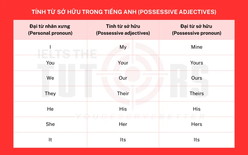 Tính từ sở hữu trong tiếng anh là gì 1