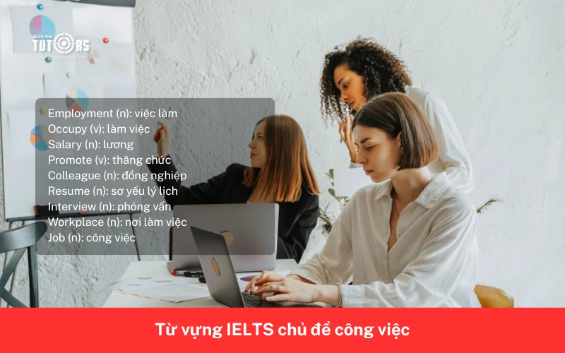 Từ vựng IELTS chủ đề công việc 14