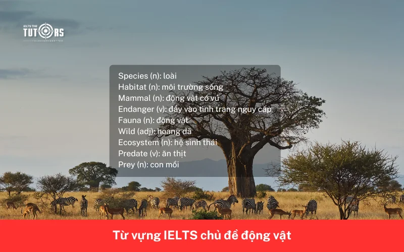 Từ vựng IELTS chủ đề động vật 12
