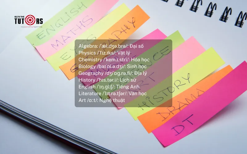 Từ vựng tiếng Anh chủ đề trường học 21