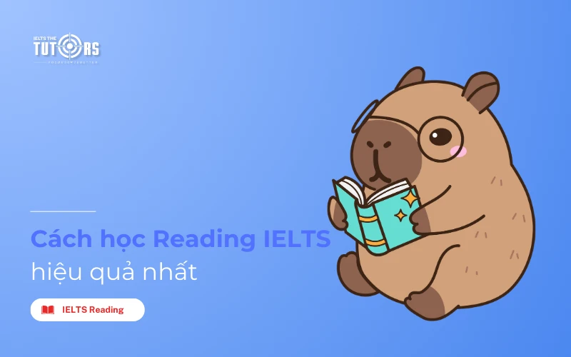 cách học reading hiệu quả thumbnail