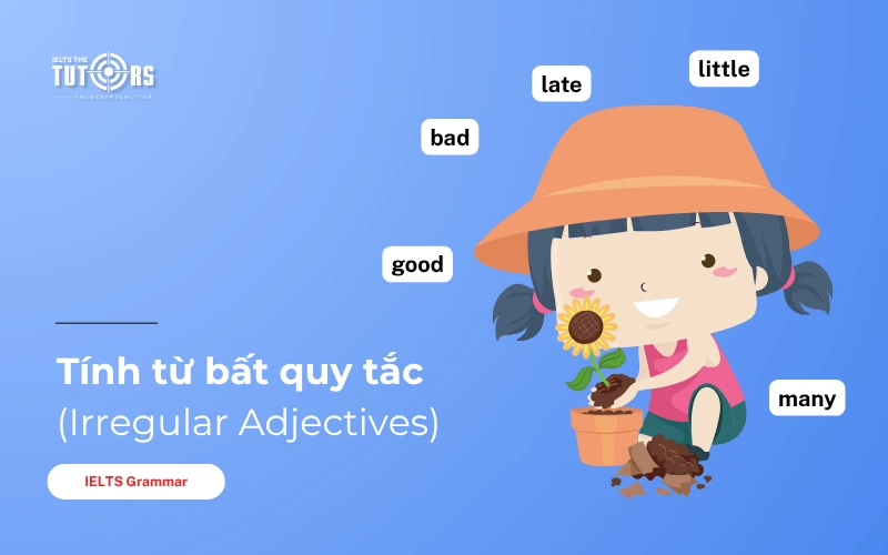 Bảng tính từ bất quy tắc tiếng Anh thumbnail