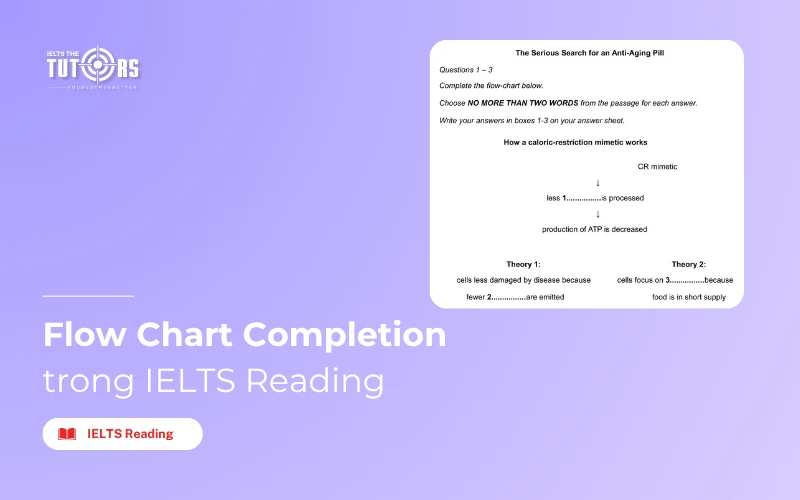 Flow Chart Completion trong IELTS Reading thumbnail