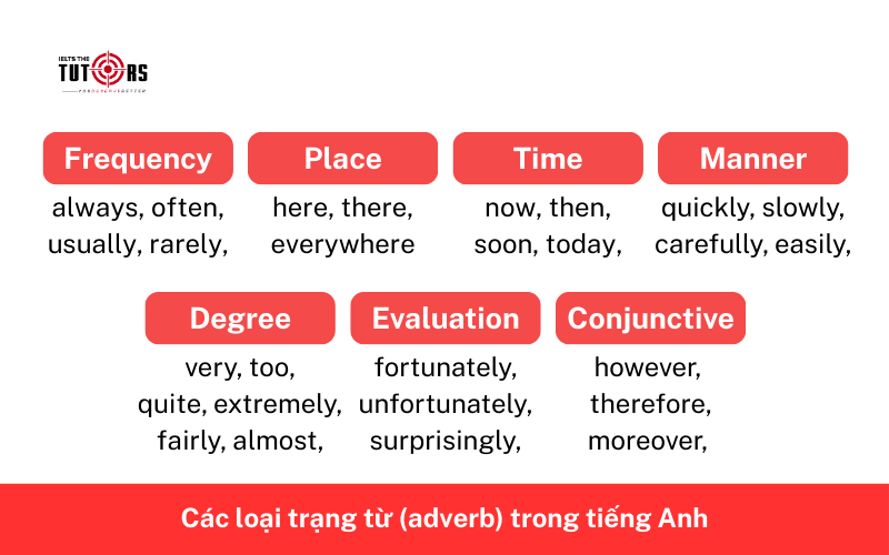 Các loại trạng từ (adverb) trong tiếng Anh 3