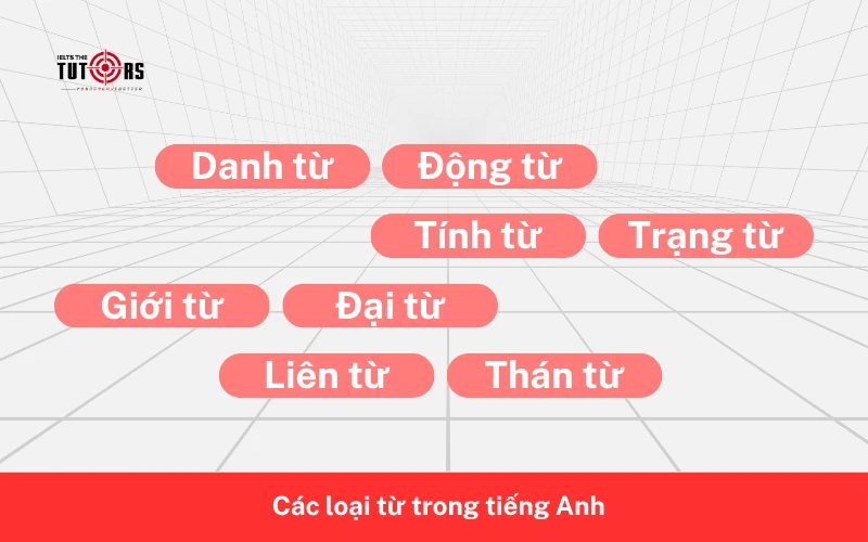 Các loại từ trong tiếng Anh 1