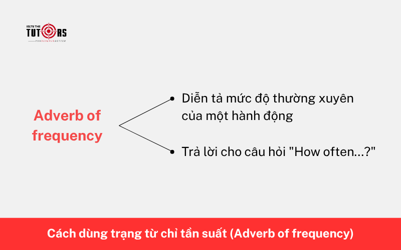 Cách dùng trạng từ chỉ tần suất (Adverb of frequency) 2