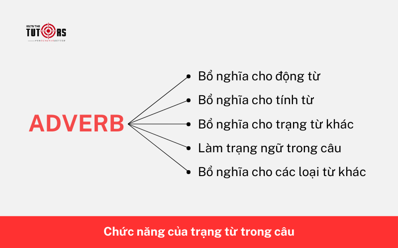 Chức năng của trạng từ trong câu 2