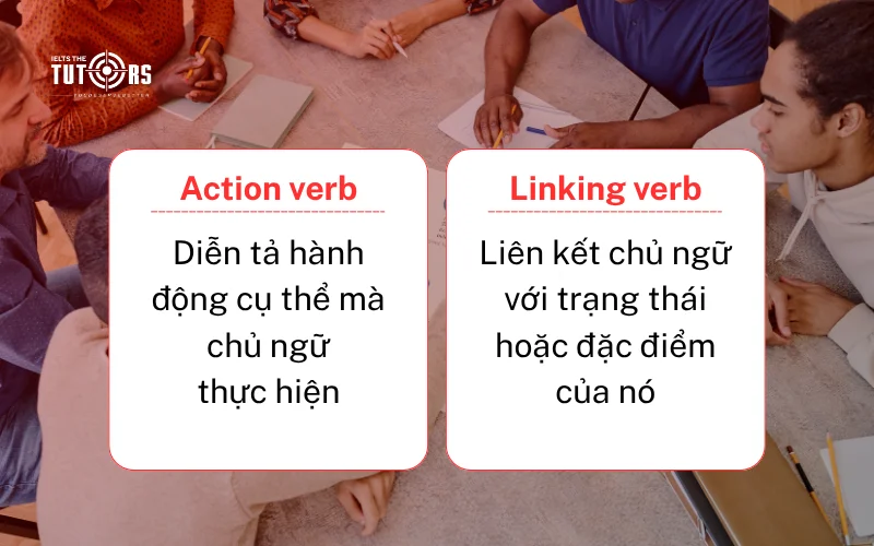 Phân biệt action verb và linking verb 5