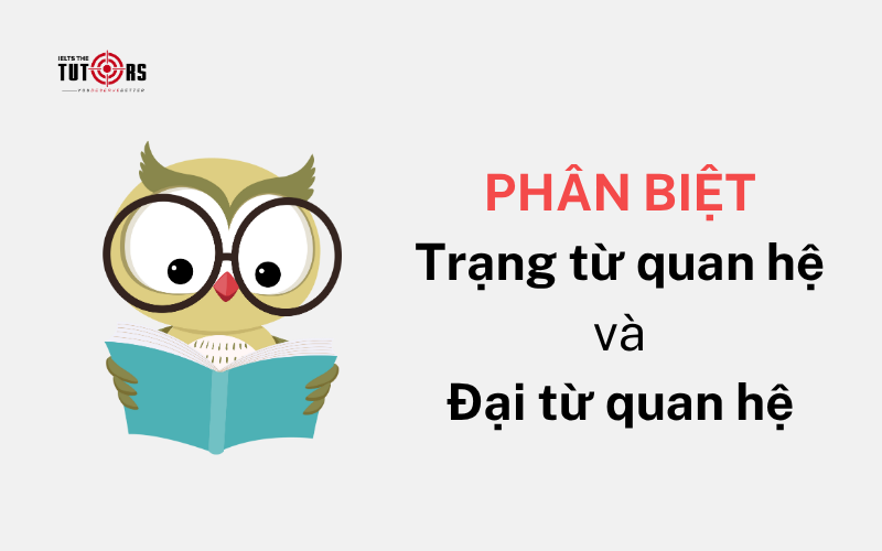 Phân biệt trạng từ quan hệ và đại từ quan hệ 3