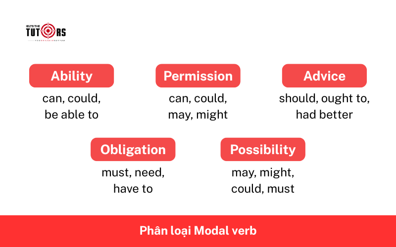 Phân loại Modal verb 2
