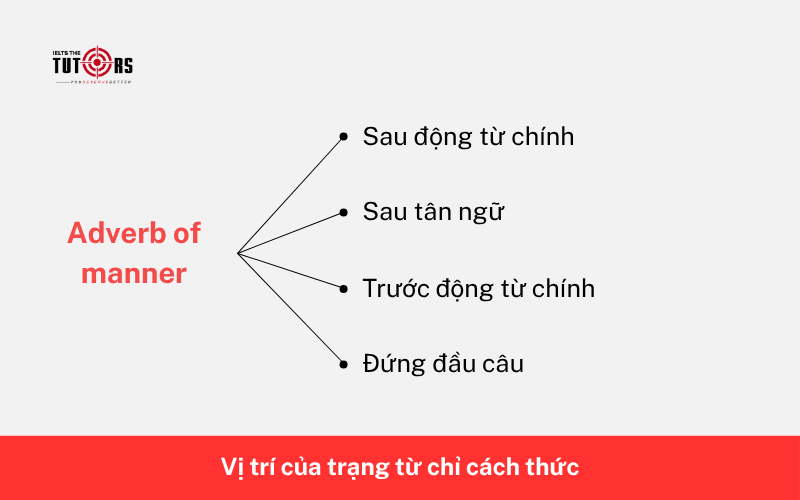Vị trí của trạng từ chỉ cách thức 4