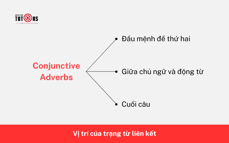 Vị trí của trạng từ liên kết trong câu 2