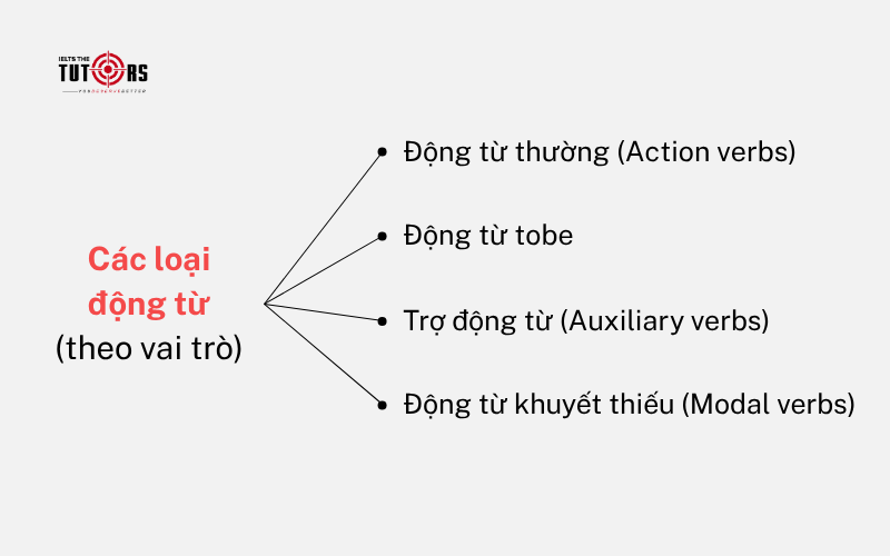 phân loại động từ tiếng Anh theo vai trò