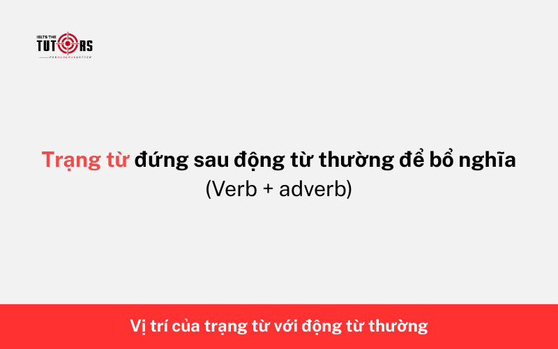 trạng từ đứng trước hay sau động từ 1