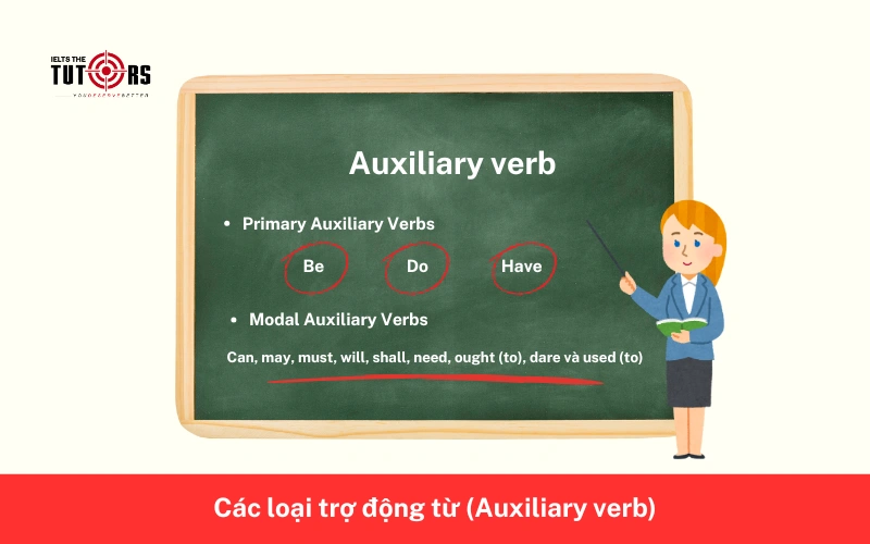 Các loại trợ động từ trong tiếng Anh