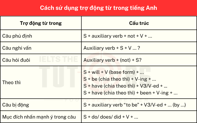 Cách sử dụng trợ động từ trong tiếng Anh 29102503