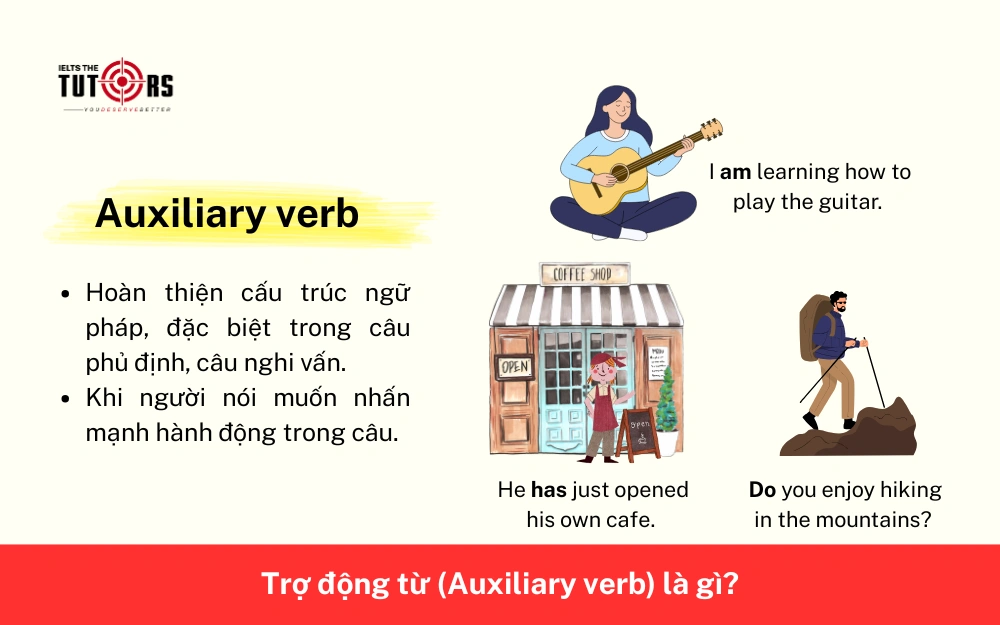 Trợ động từ là gì 291025