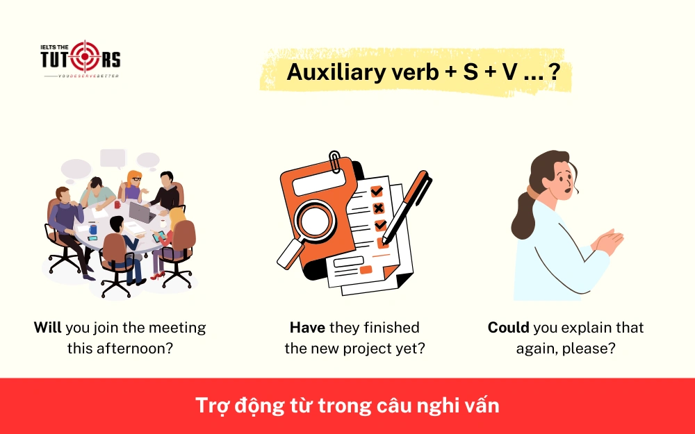 Trợ động từ trong câu nghi vấn 291025