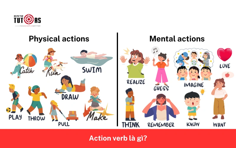 action verb là gì 28102501