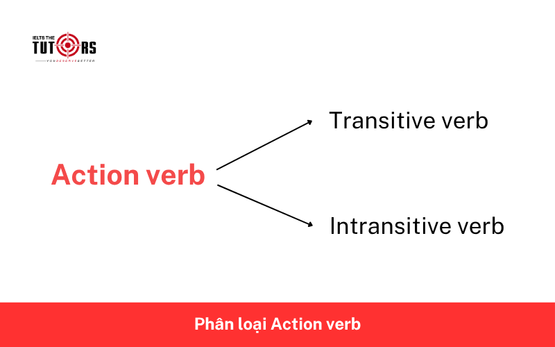 phân loại action verb 28102502