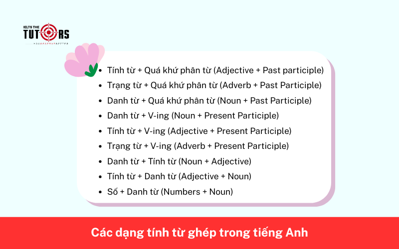 Các dạng tính từ ghép trong tiếng Anh 27112502