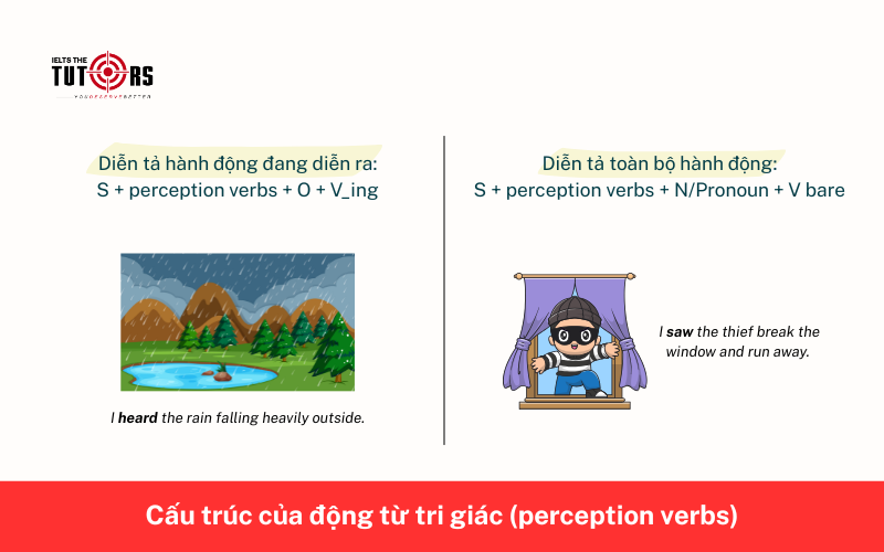 Cấu trúc của động từ tri giác (perception verbs) 25112503