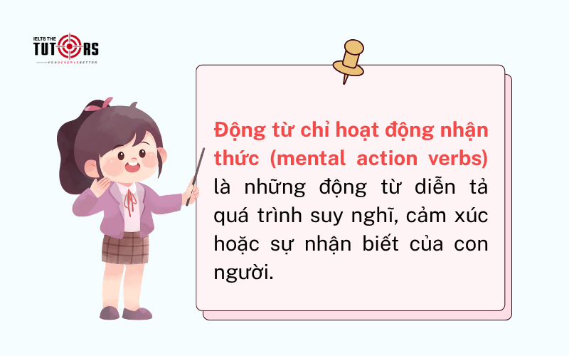 Động từ chỉ hoạt động nhận thức 24112501