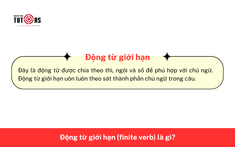 Động từ giới hạn là gì 18112501