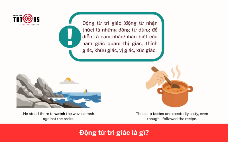 Động từ tri giác là gì